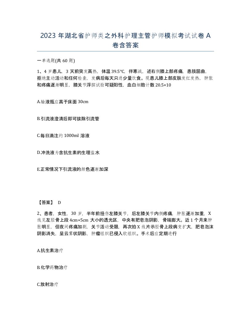 2023年湖北省护师类之外科护理主管护师模拟考试试卷A卷含答案