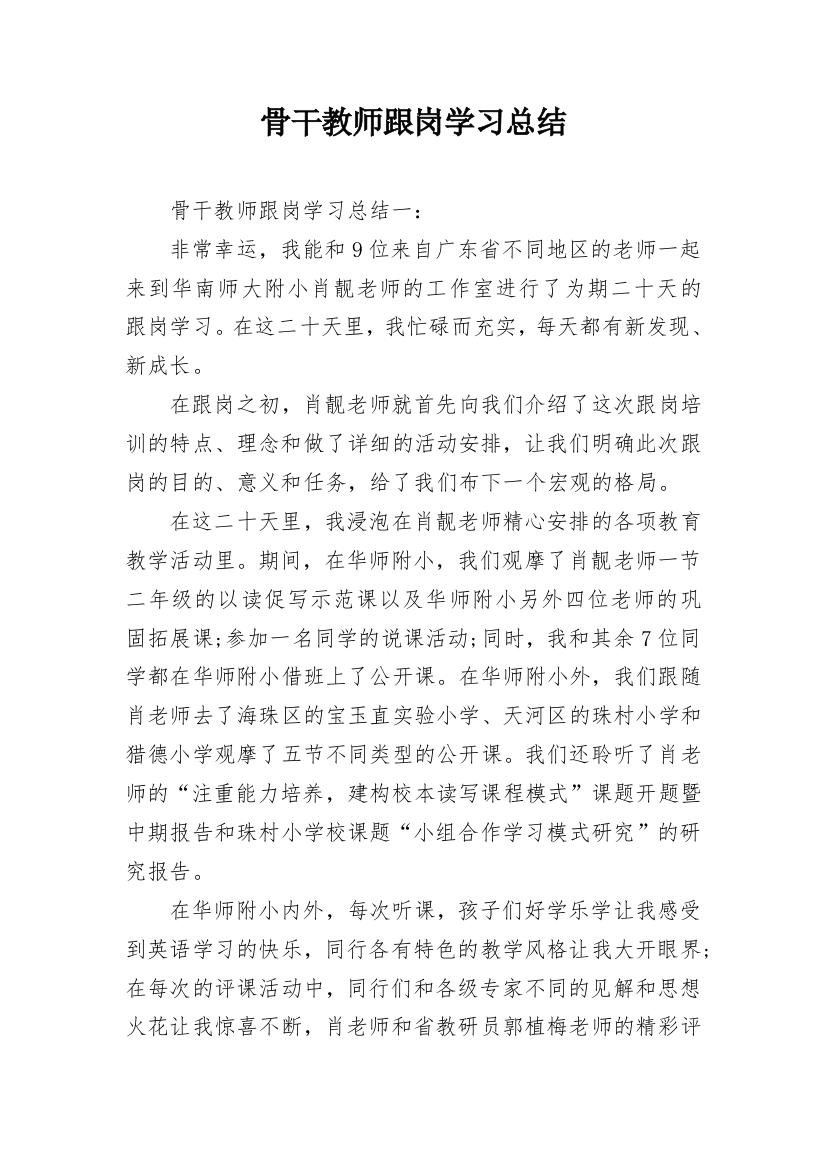 骨干教师跟岗学习总结_4