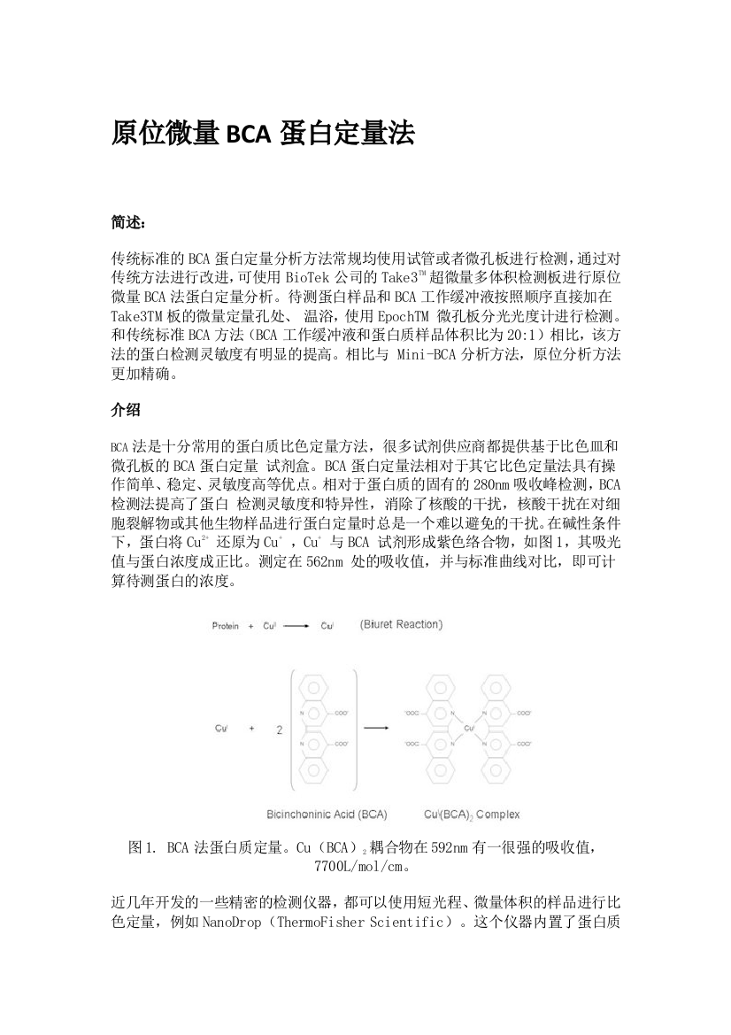 原位微量BCA蛋白定量法