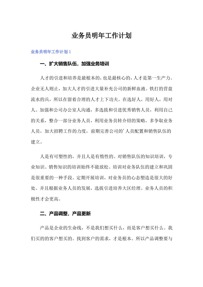 业务员明年工作计划