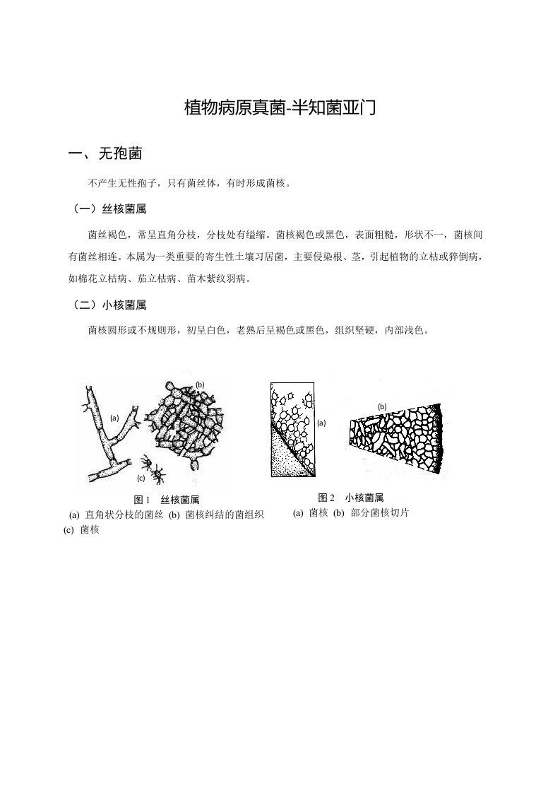 植物病原真菌-半知菌亚门—无孢菌