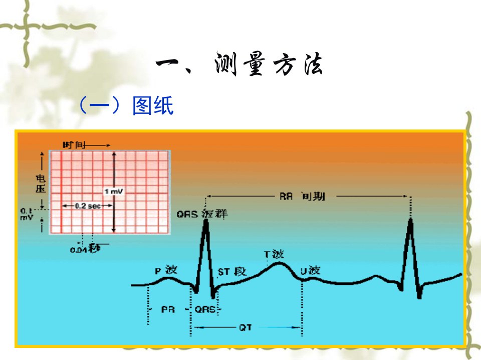 2021年心电图检查测量方法和临床意义