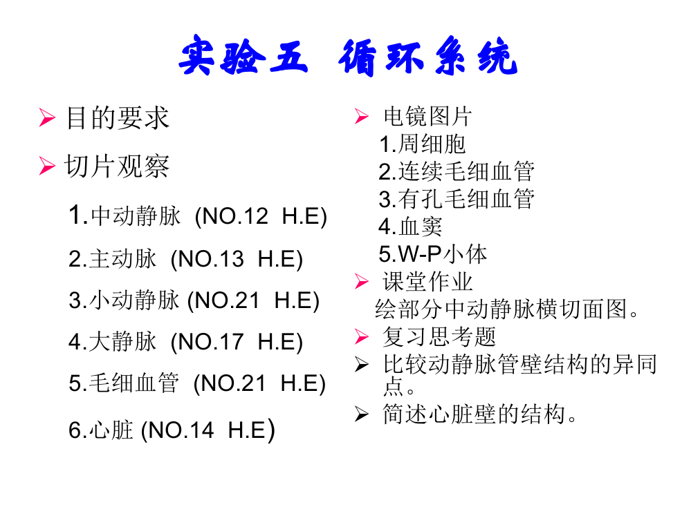 实验五循环系统ppt课件