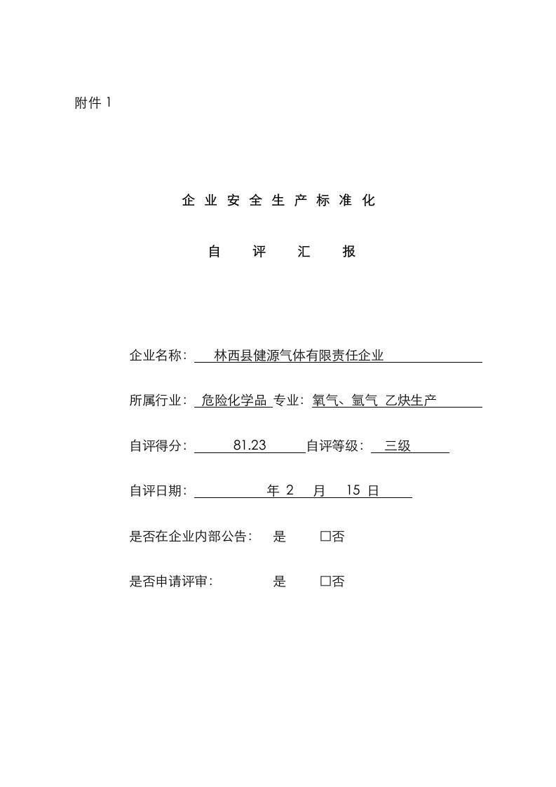 2021年企业安全生产标准化自评报告表格