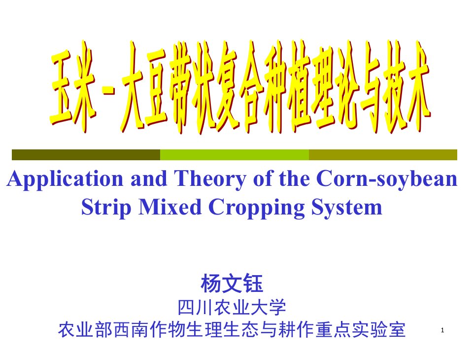 玉米-大豆带状复合种植理论与技术