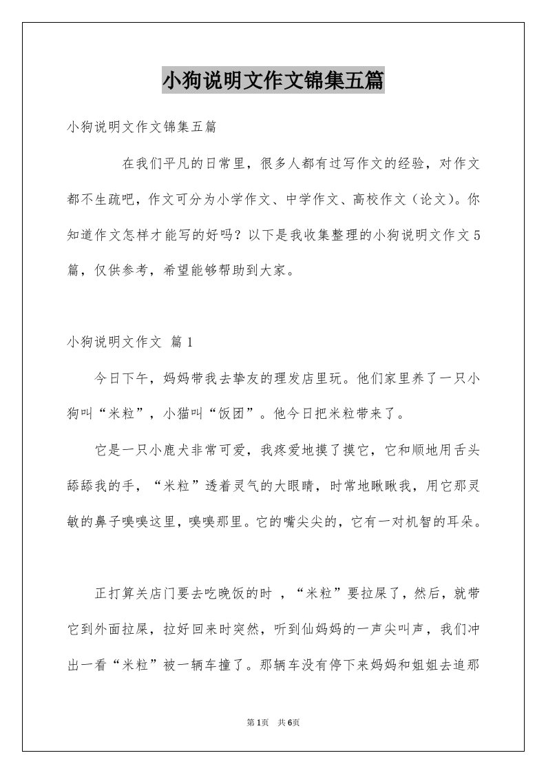 小狗说明文作文锦集五篇