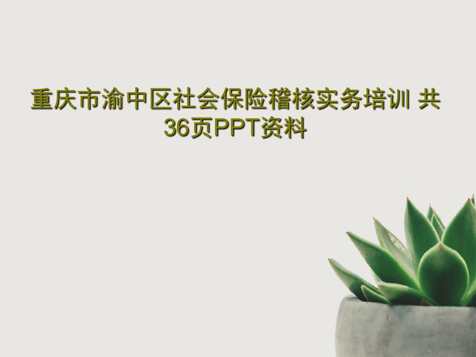 重庆市渝中区社会保险稽核实务培训