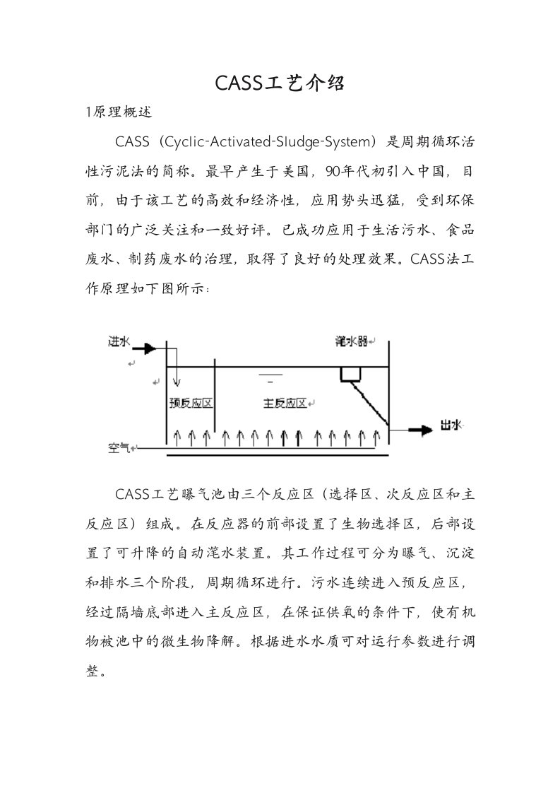 CASS工艺设计优缺点