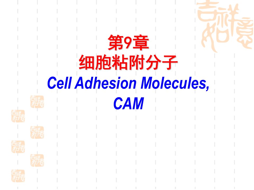 《细胞粘附因子》PPT课件