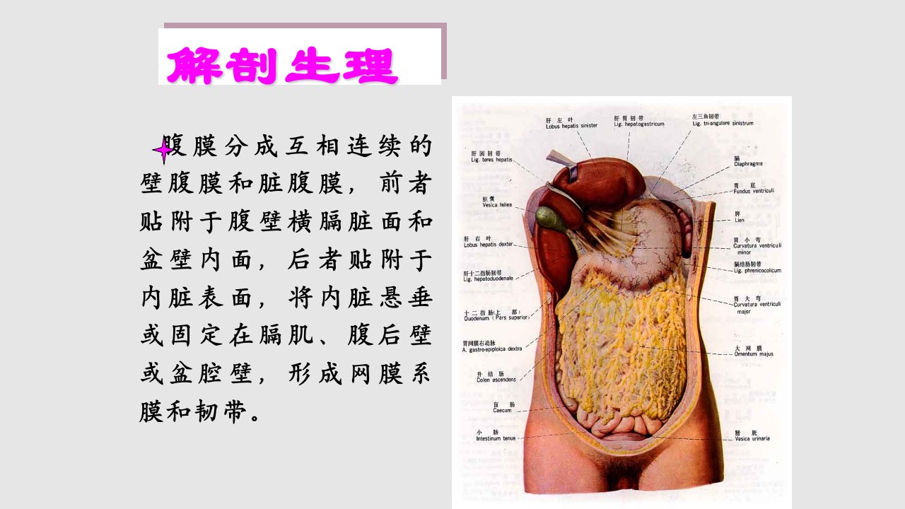 急性腹膜炎学习