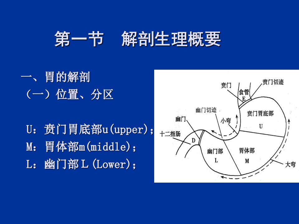 胃十二指肠疾病