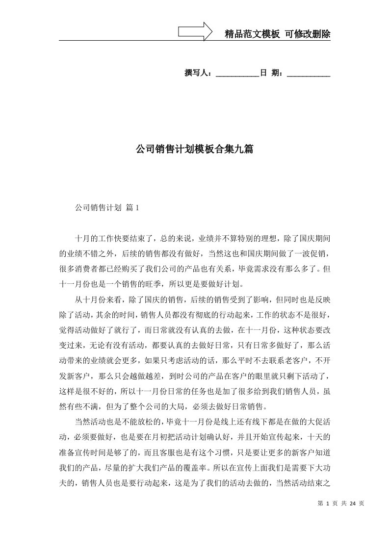 公司销售计划模板合集九篇三