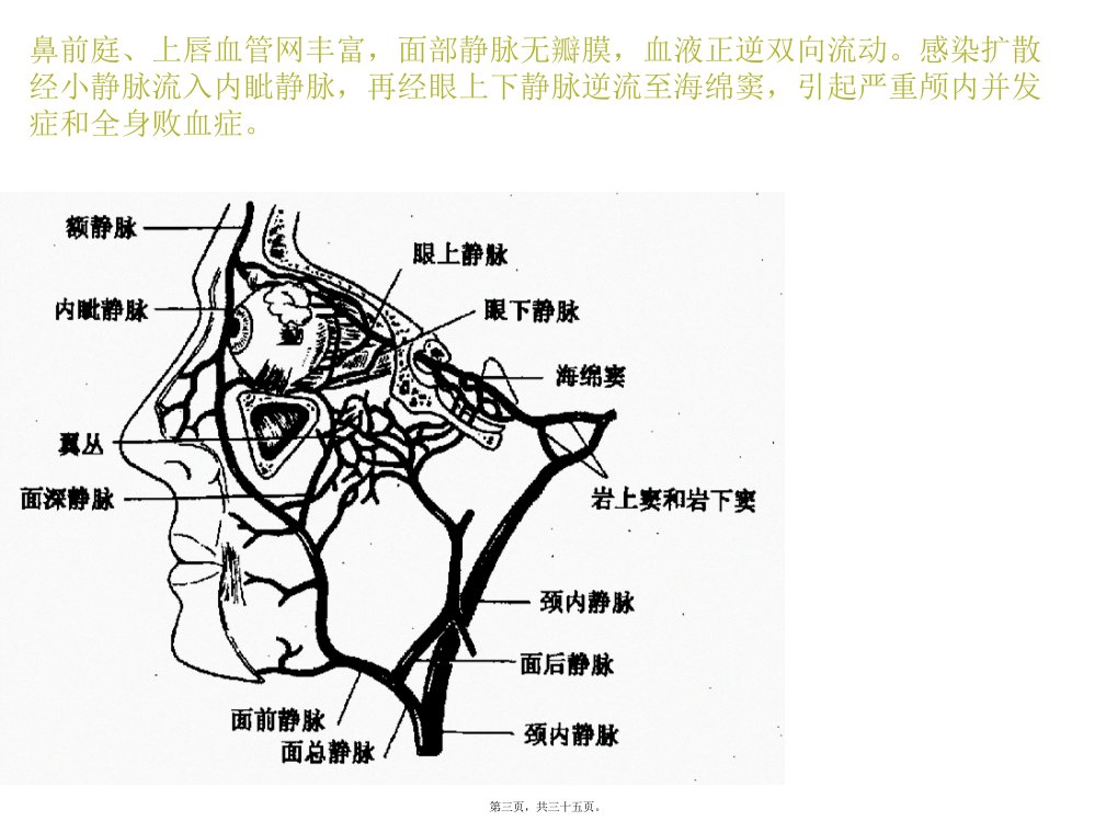 呼吸暂停平均次数每小时中枢性睡眠