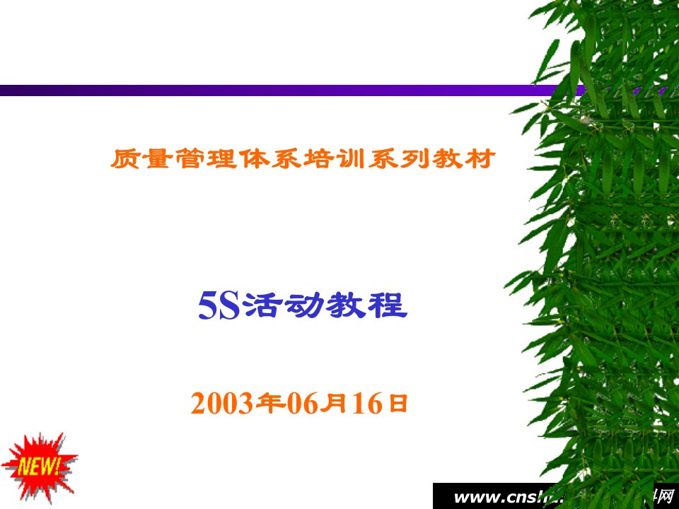 质量管理体系5S活动教程