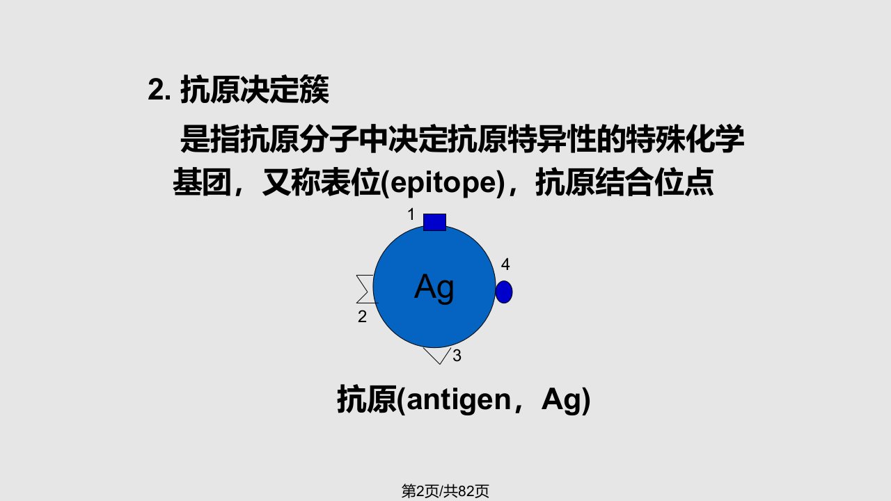 抗体的制备学习