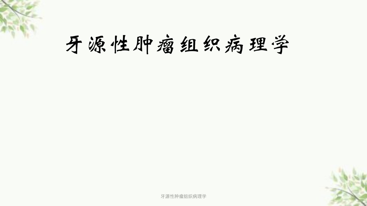 牙源性肿瘤组织病理学ppt课件