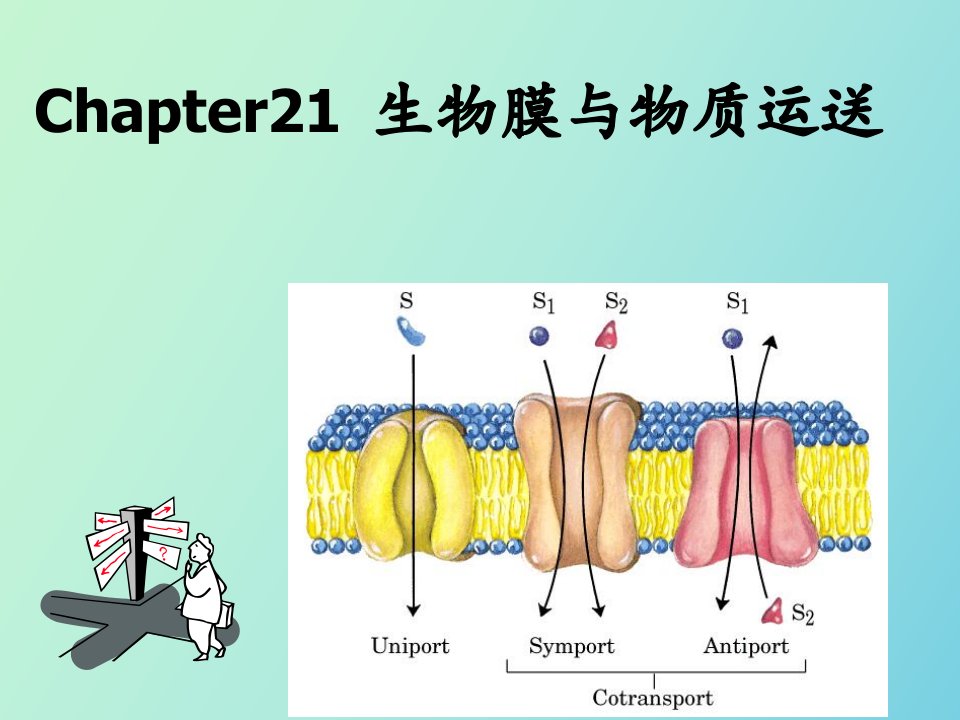 生物膜与物质运送