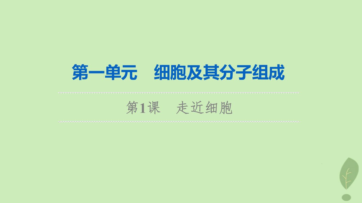 2024版高考生物一轮总复习第1单元细胞及其分子组成第1课走近细胞课件