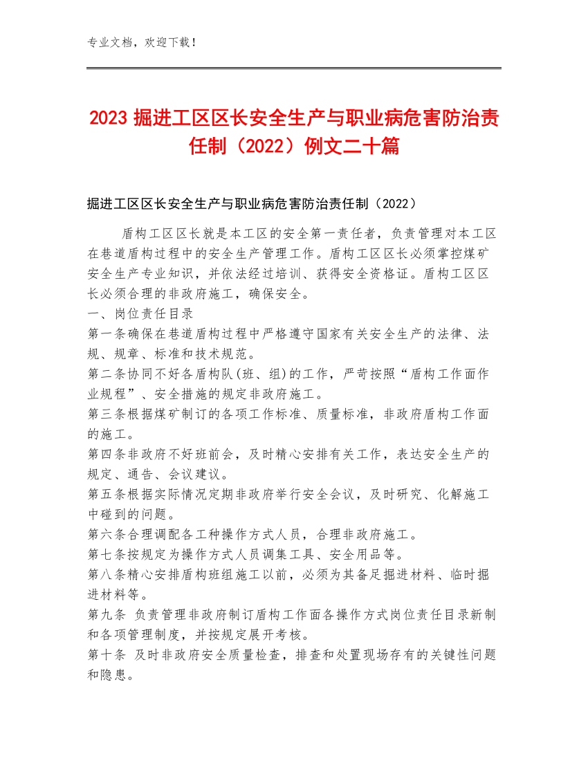 2023掘进工区区长安全生产与职业病危害防治责任制（2022）例文二十篇