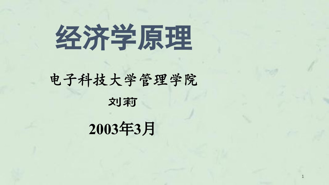 双学士经济学原理讲义全课件