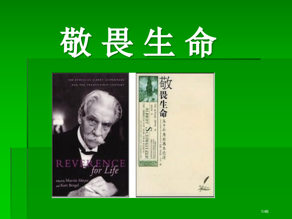 敬畏生命(优质课竞赛)市公开课一等奖省赛课微课金奖PPT课件