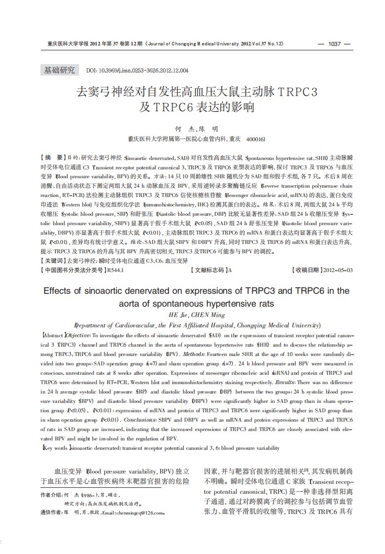 去窦弓神经对自发性高血压大鼠主动脉TRPC3及TRPC6表达的影响