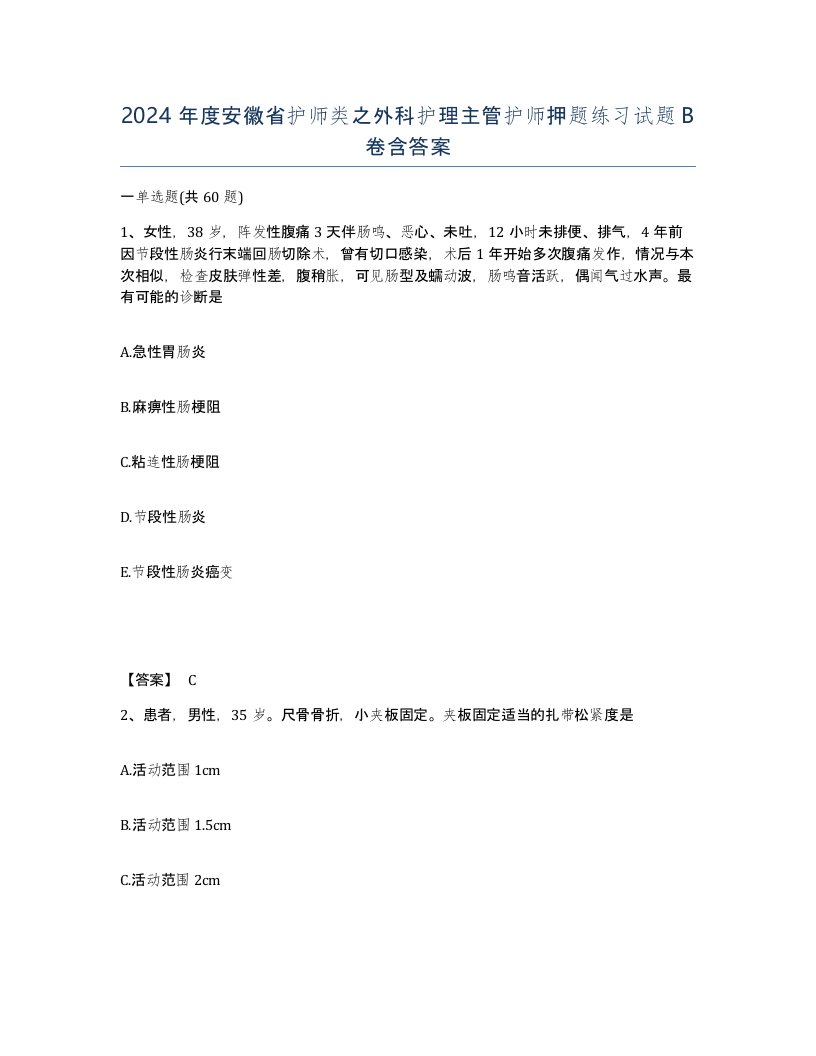 2024年度安徽省护师类之外科护理主管护师押题练习试题B卷含答案