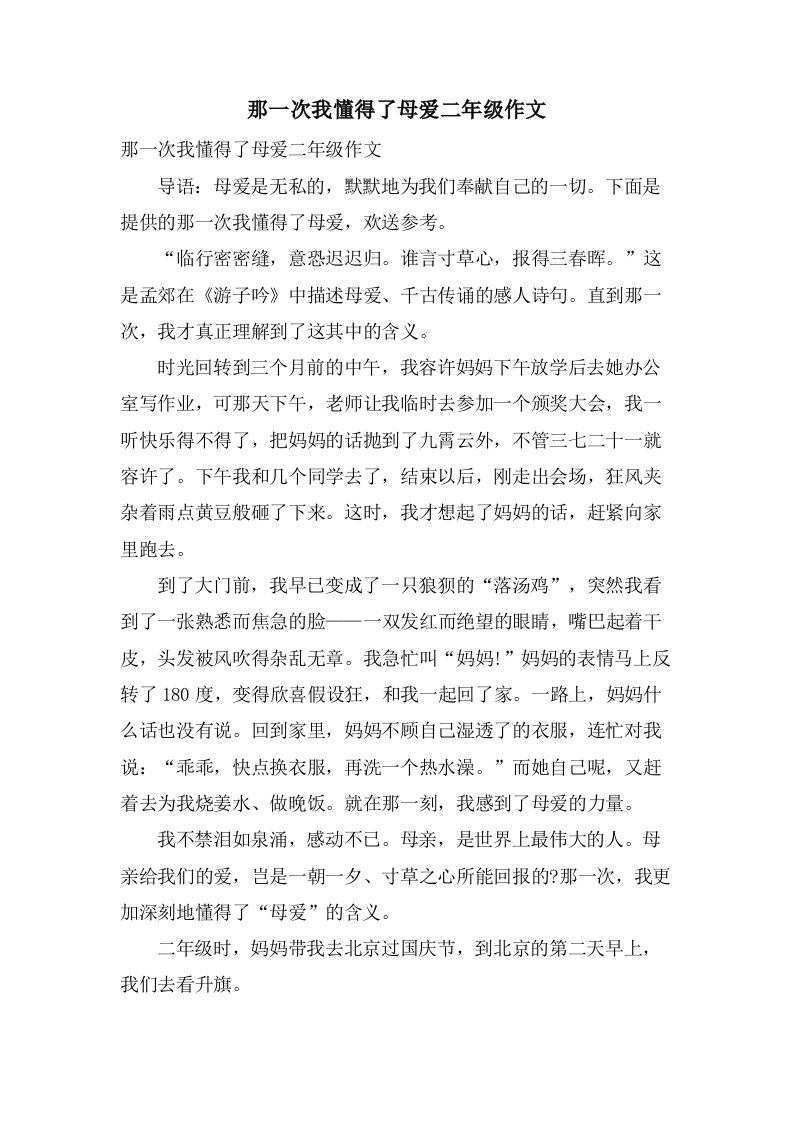 那一次我懂得了母爱二年级作文