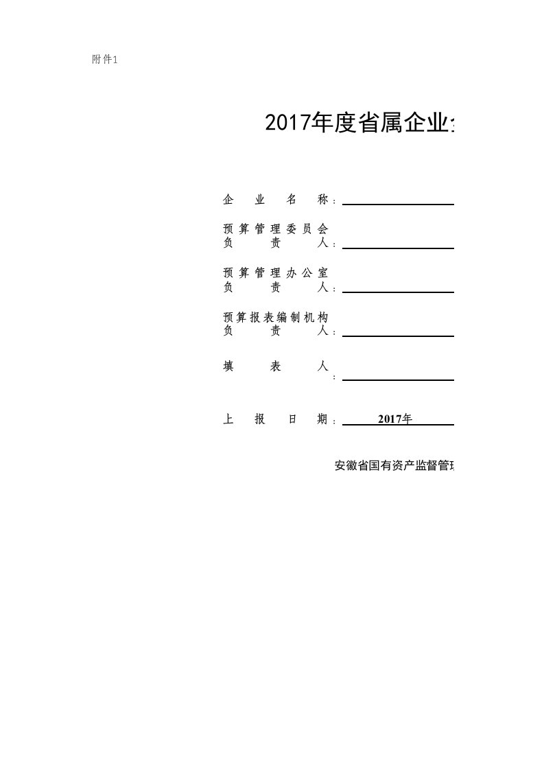 2017年度全面预算报表模板