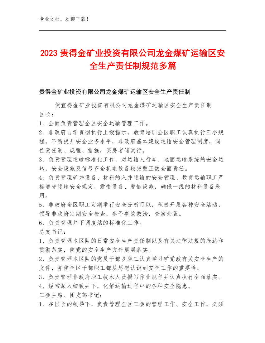 2023贵得金矿业投资有限公司龙金煤矿运输区安全生产责任制规范多篇