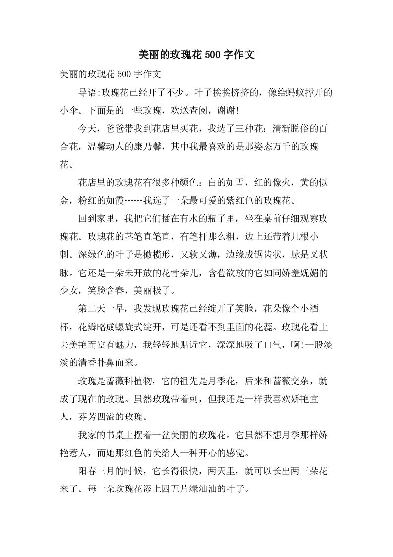 美丽的玫瑰花500字作文