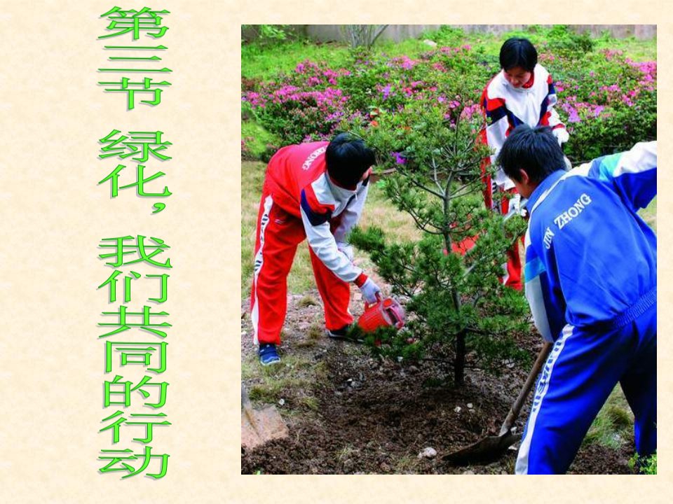 七年级生物植被破坏与环境恶化