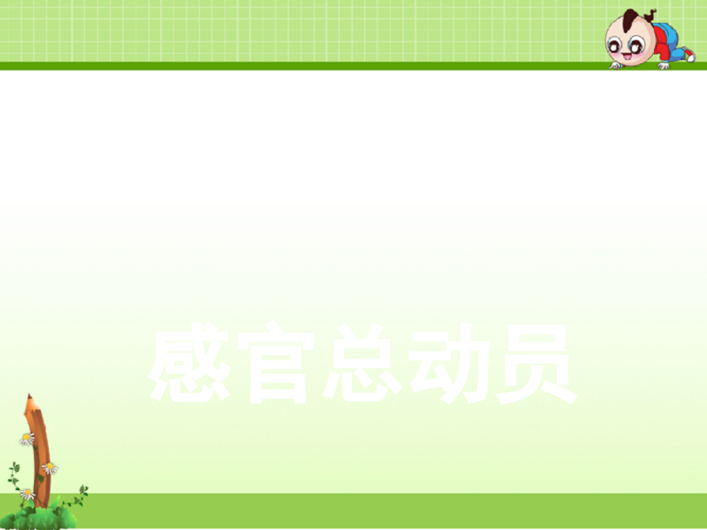 苏教版科学一年级上册课件：5-感官总动员-课件(17张ppt)-新教材