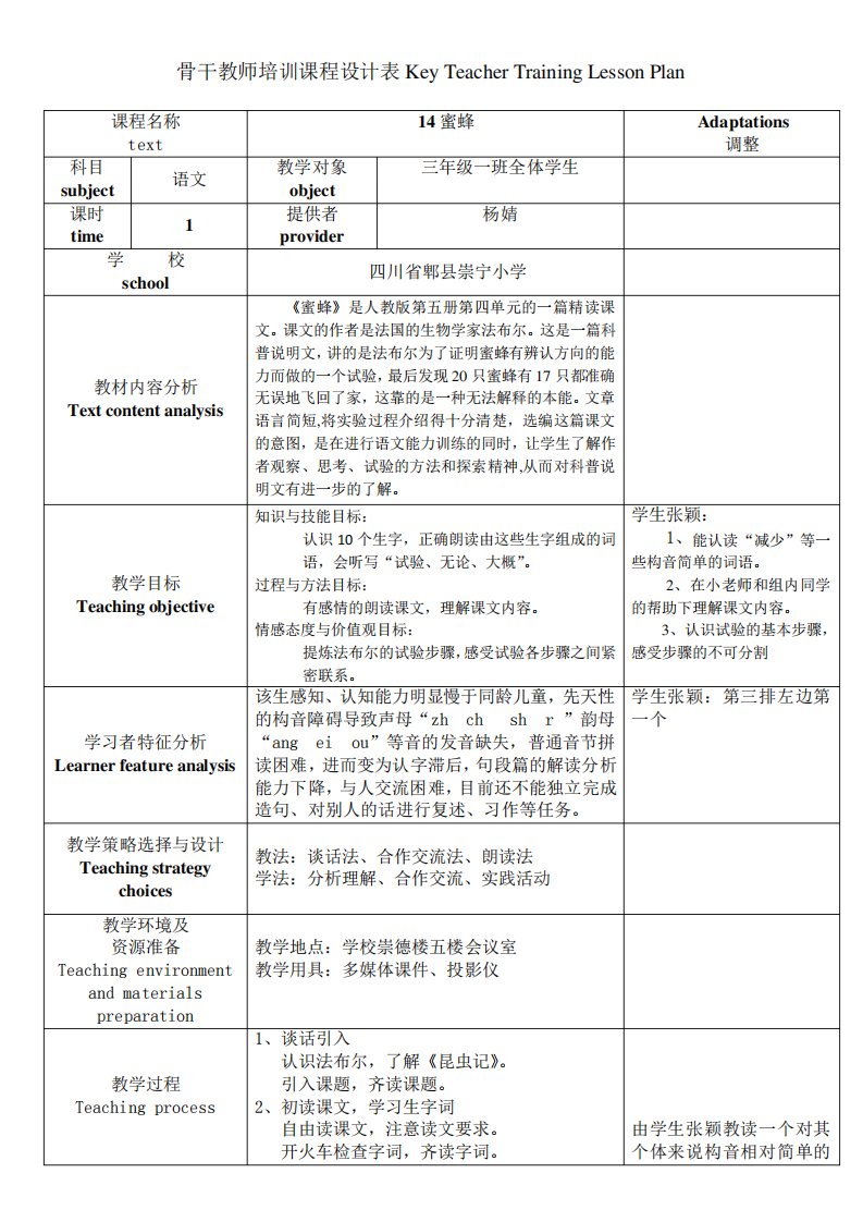 融合教育教学设计模板