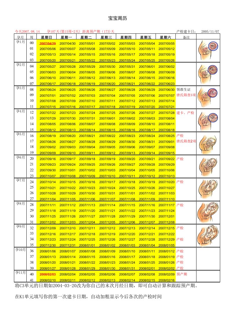 宝宝周历表（精选）