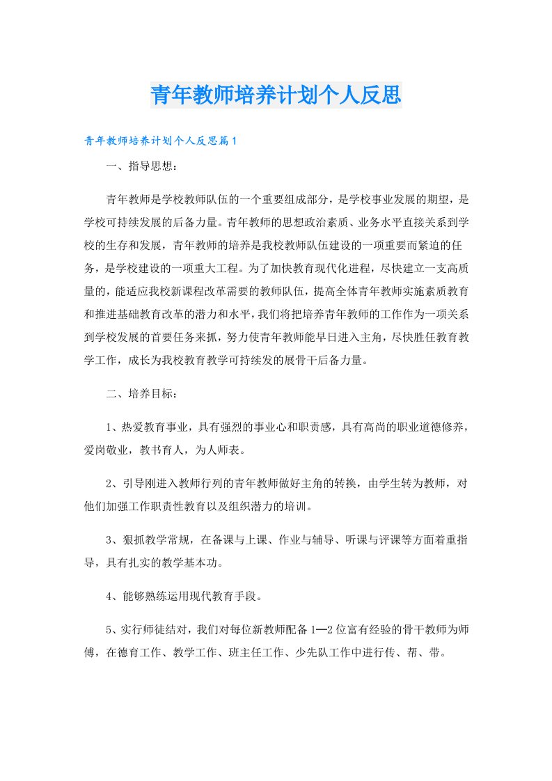 青年教师培养计划个人反思