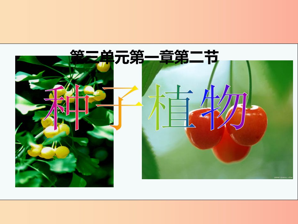 2019年七年级生物上册3.1.2种子植物课件1