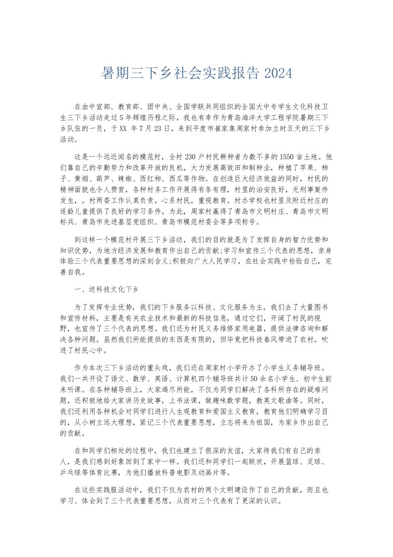 总结报告暑期三下乡社会实践报告2024002