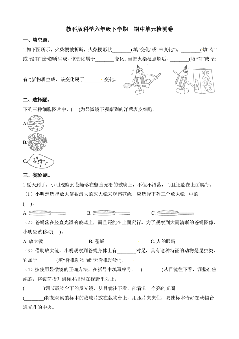 教科版科学六年级下学期