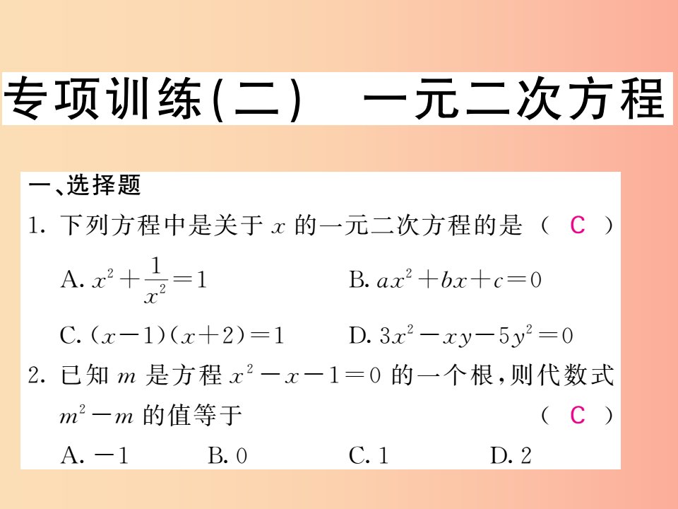 九年级数学下册专项训练二一元二次方程习题课件新版湘教版