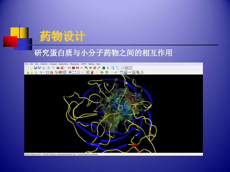 分子模拟与药物设计ppt课件