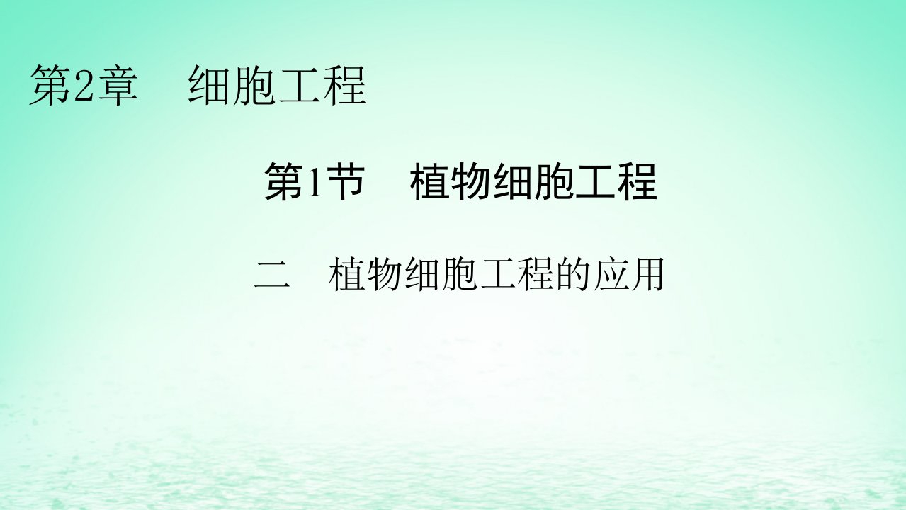 新教材同步系列2024春高中生物第2章细胞工程第1节植物细胞工程二植物细胞工程的应用课件新人教版选择性必修3