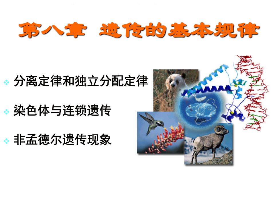 普通生物学复习资料第六讲