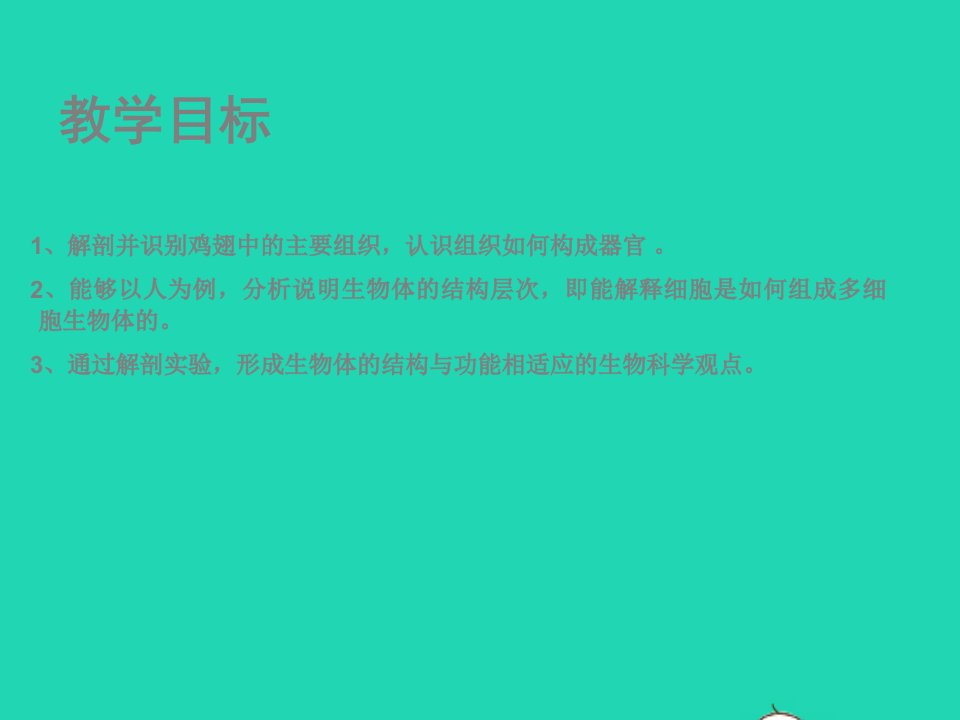 2022七年级生物上册第2单元生物体的结构第4章生物体的结构层次第2节生物体的器官系统教学课件新版北师大版