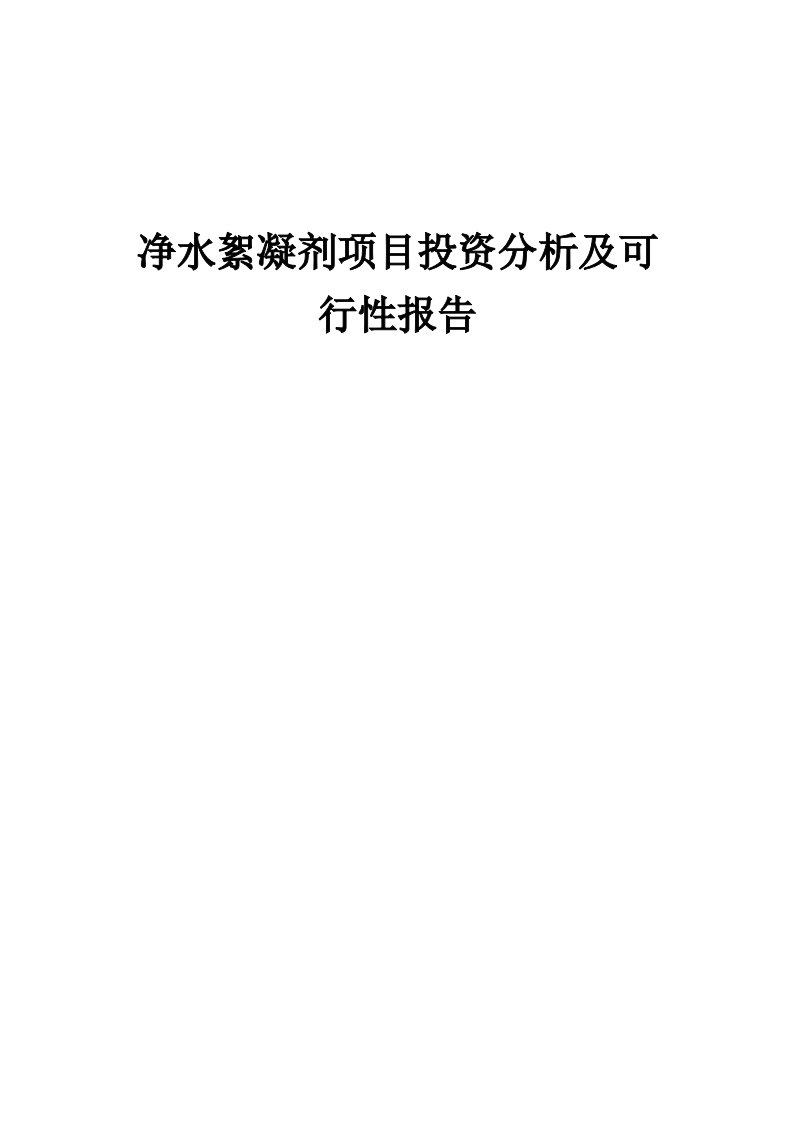 2024年净水絮凝剂项目投资分析及可行性报告