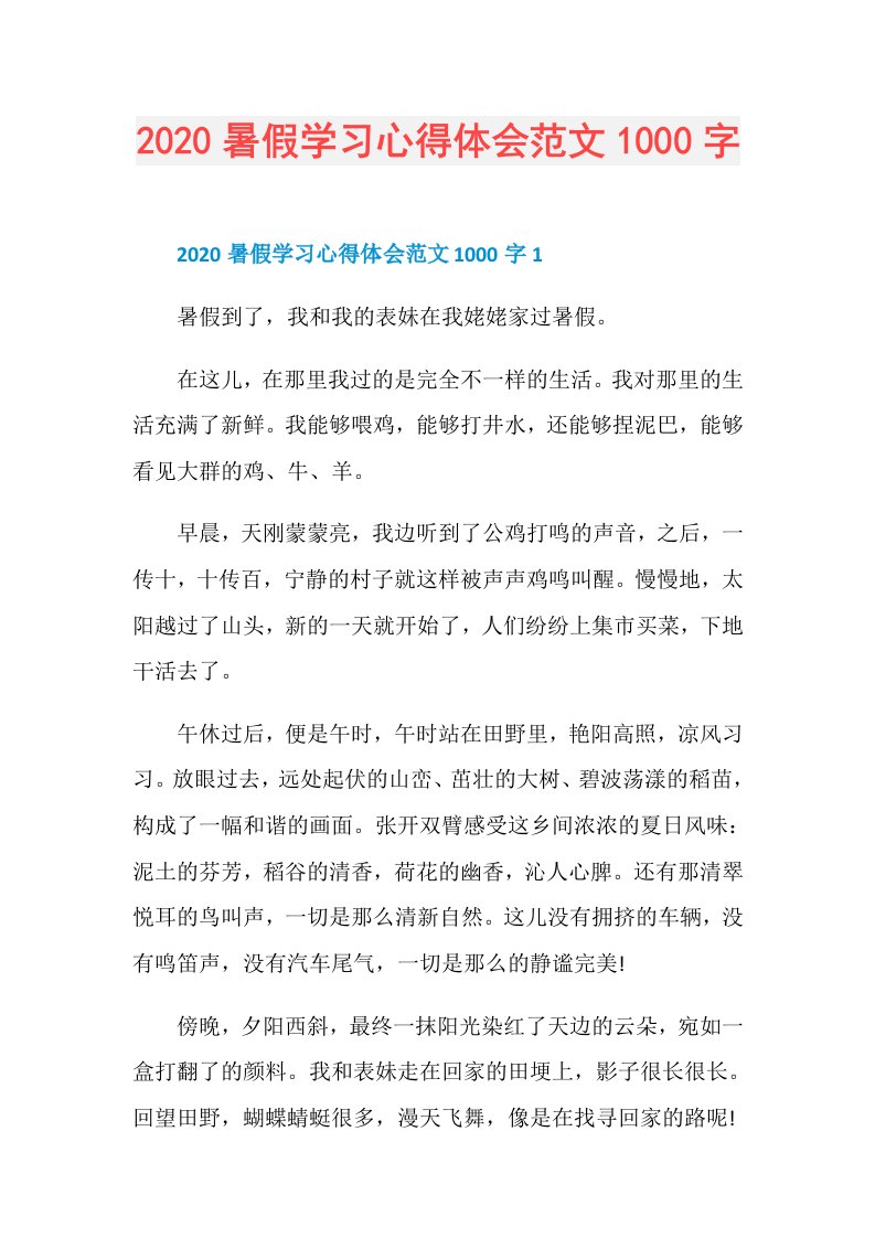 暑假学习心得体会范文1000字