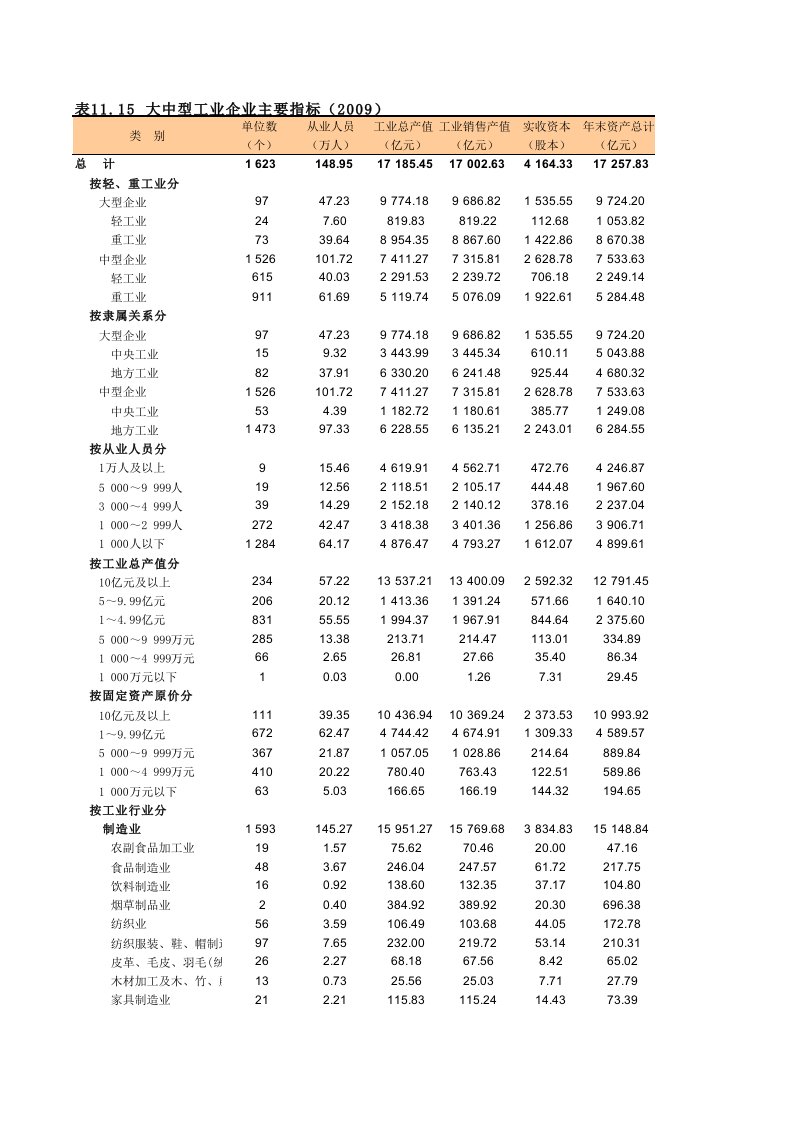 大中型工业企业主要指标（2009）