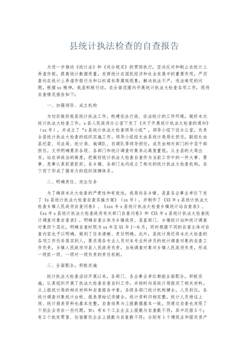 总结报告县统计执法检查的自查报告