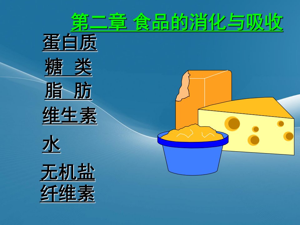 食品营养学食物的消化与吸收课件