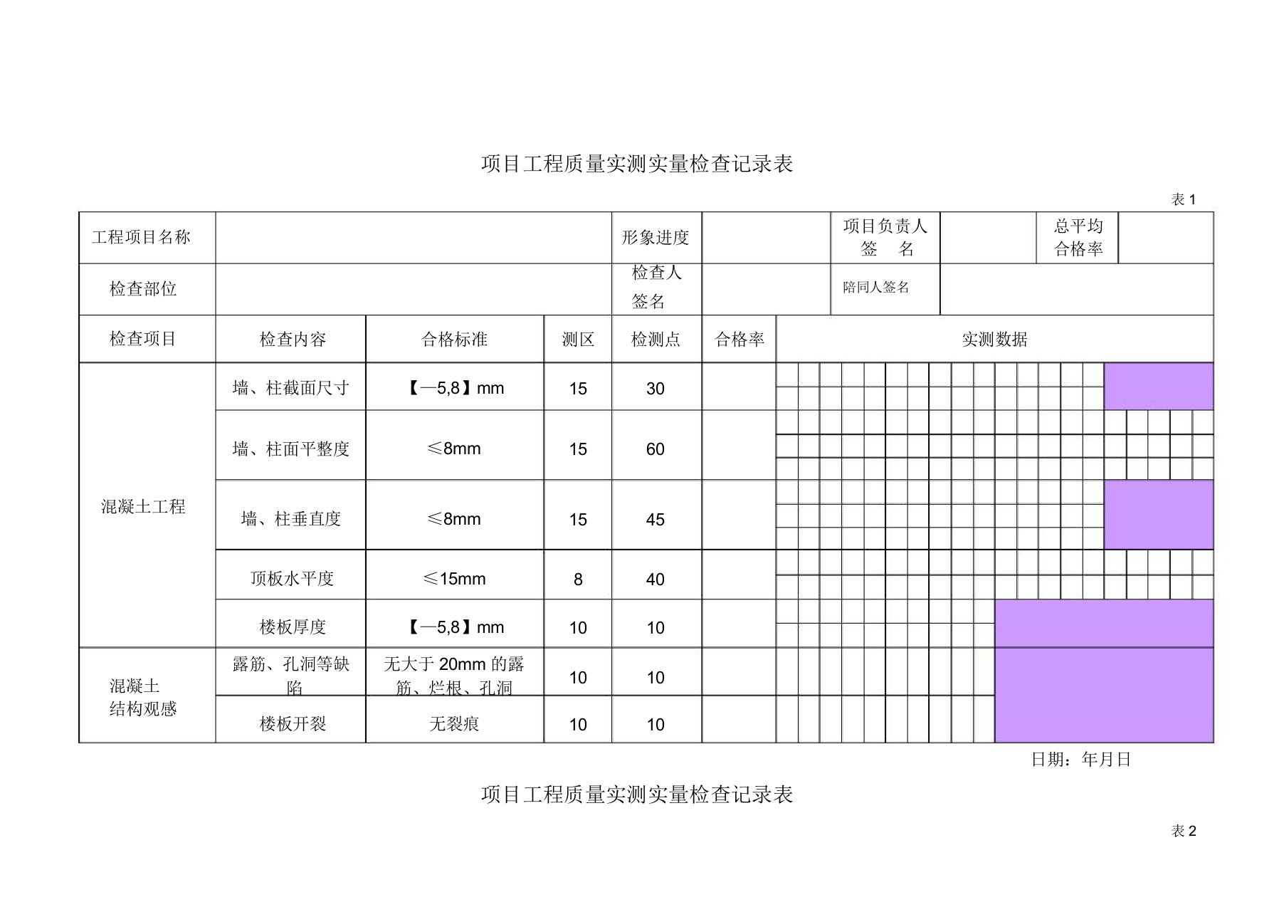 项目工程质量实测实量检查记录表